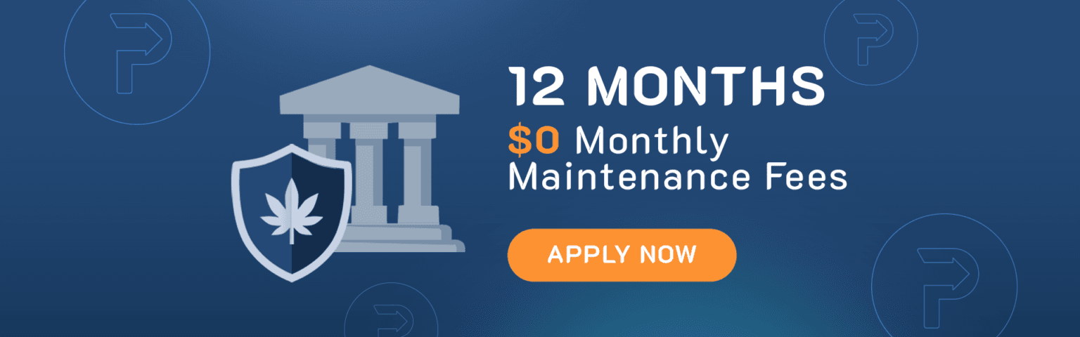 Paybotic Financial Banner Offer